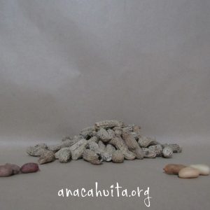 Cacahuate salvatierra