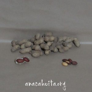 Cacahuate tenek, 100 gr