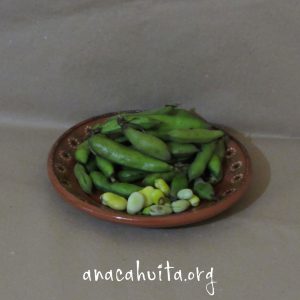 Haba fresca, 250 gr