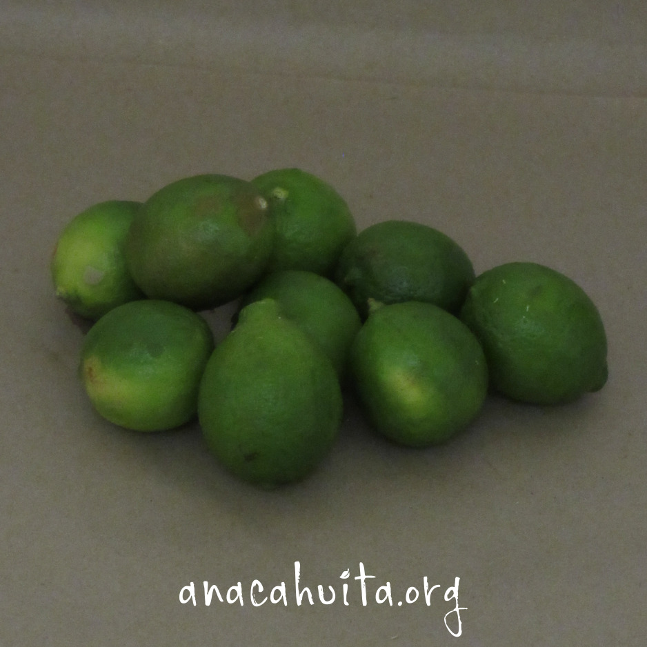 Limón