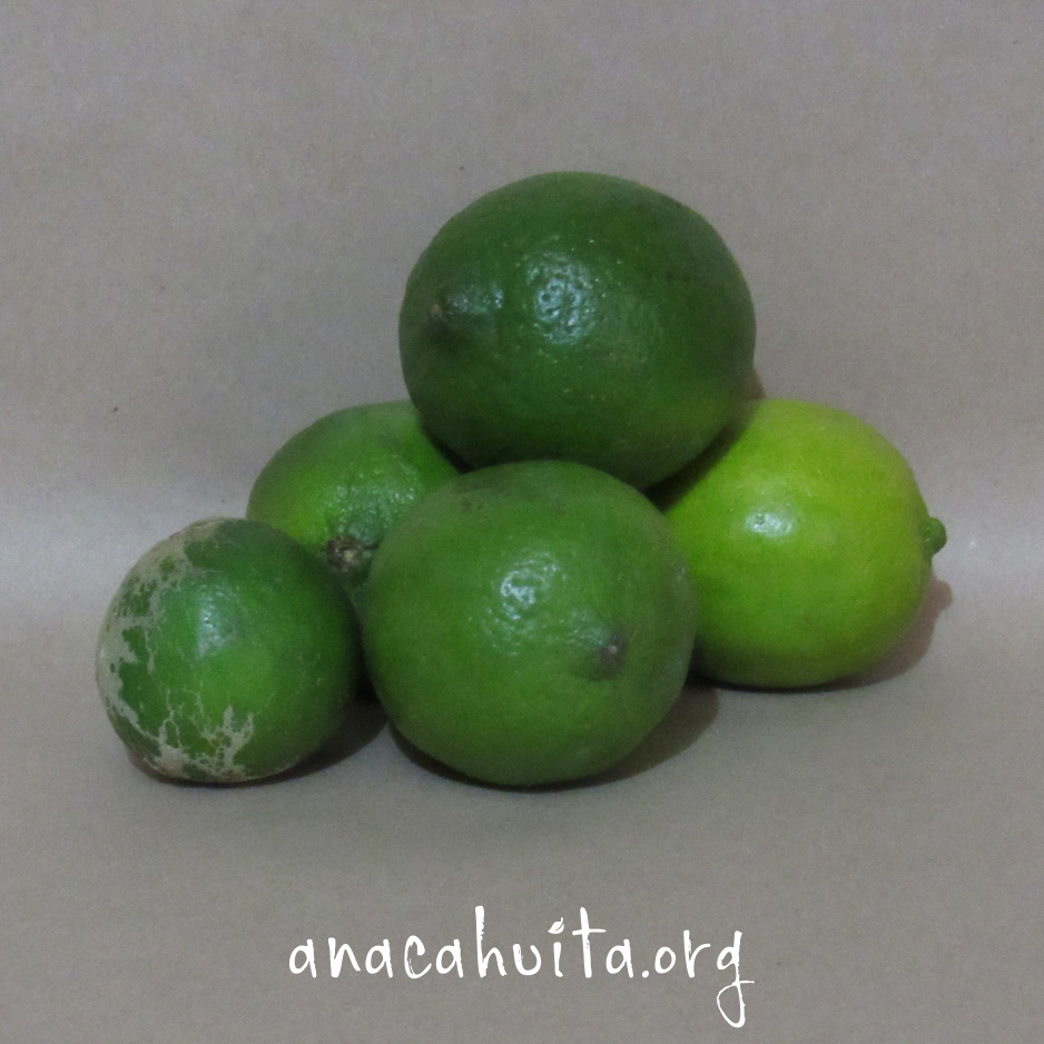 Limón - Imagen 2